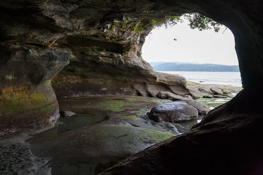 Owen Point Sea Caves